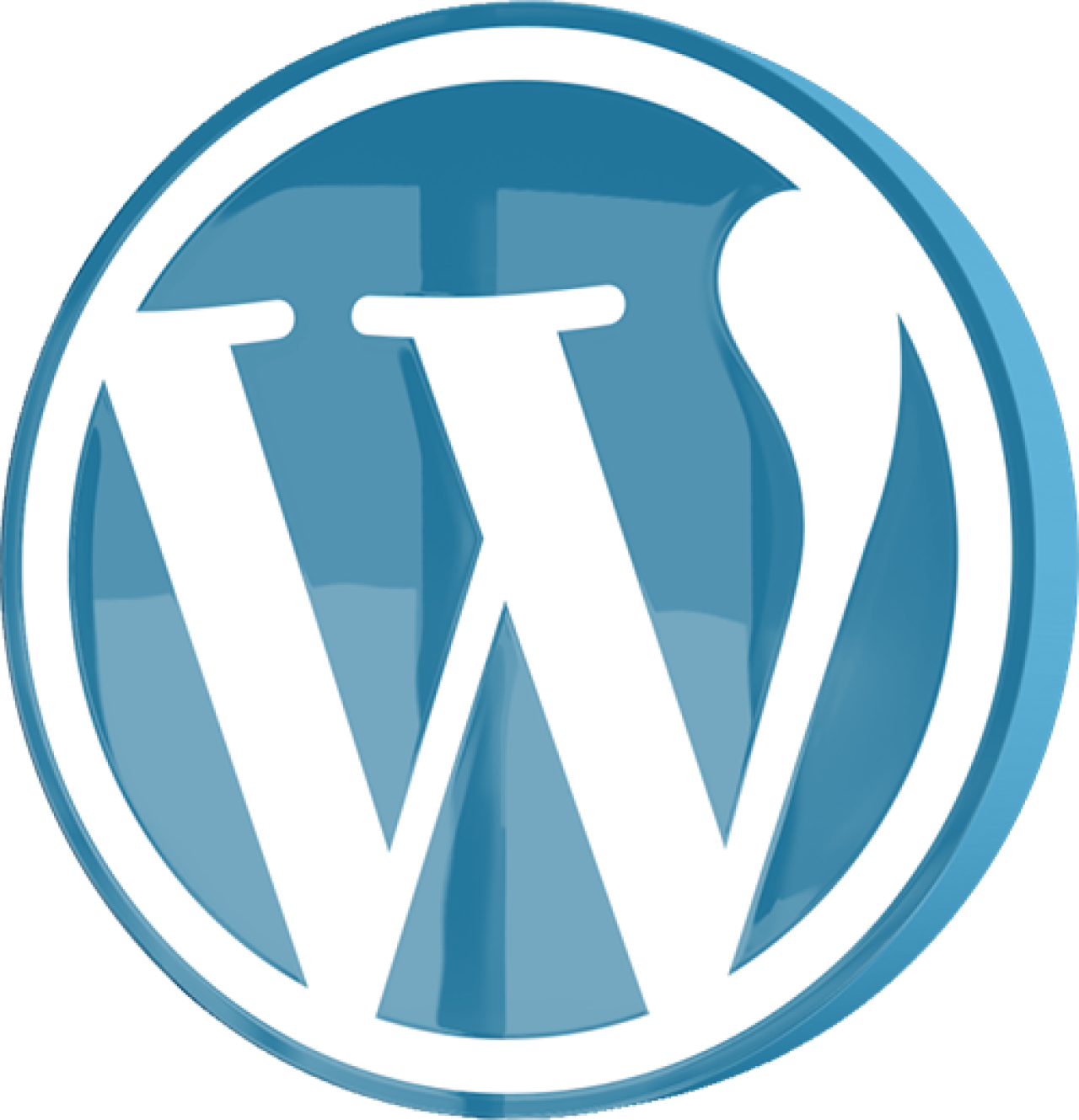 WordPress Entwickler Hamburg.