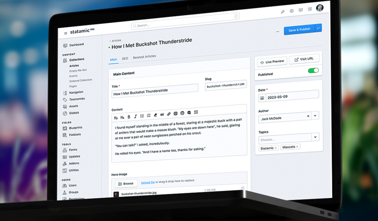 Statamic Verwaltungsoberfläche (Backend)