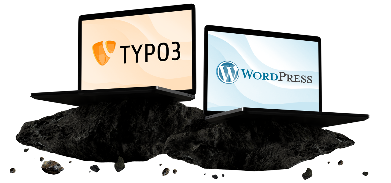 Das TYPO3 CMS