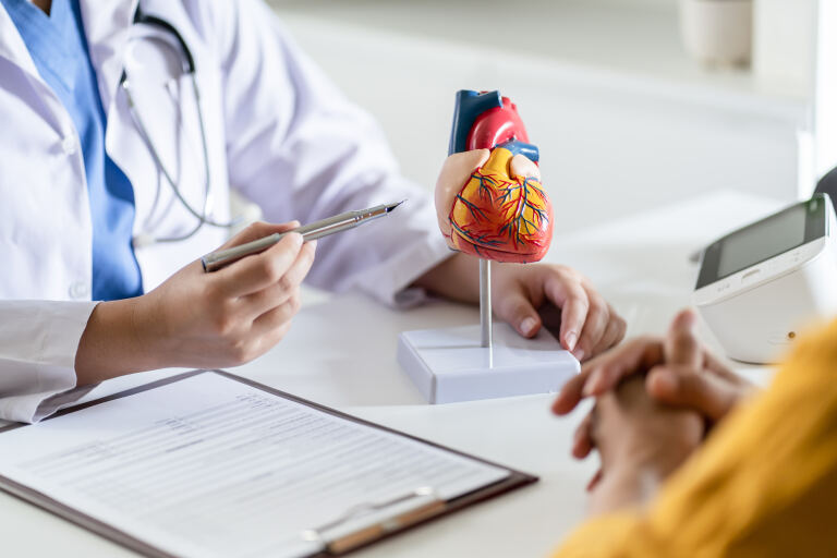 Ärztin erklärt einer Patientin am Schreibtisch ein anatomisches Herzmodell, daneben Blutdruckmessgerät und Unterlagen.