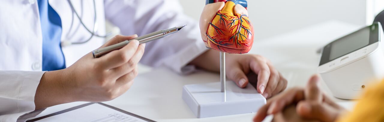 Ärztin erklärt einer Patientin am Schreibtisch ein anatomisches Herzmodell, daneben Blutdruckmessgerät und Unterlagen.
