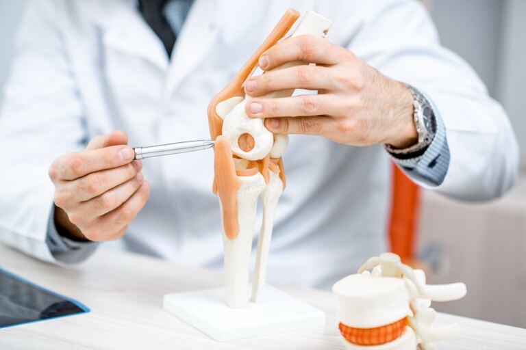 Arzt im weißen Kittel erklärt an einem anatomischen Kniegelenkmodell mit einem Zeigestab den Bandapparat, daneben ein Wirbelsäulenmodell.