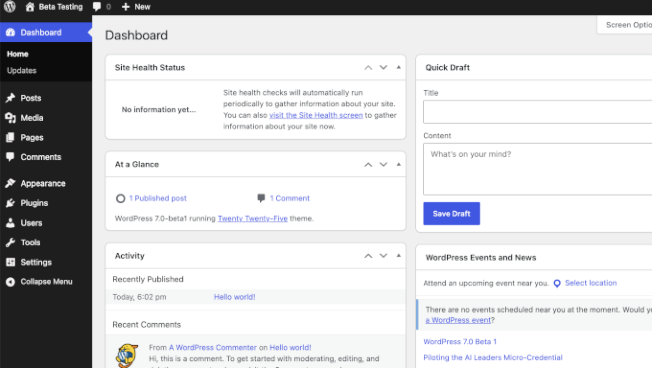 Dashboard einer frischen WordPress-Installation: links die Navigation mit Beiträgen, Medien, Seiten und Plugins, rechts Kästen zu Website-Zustand, Überblick, Aktivität und einem Schnellentwurf