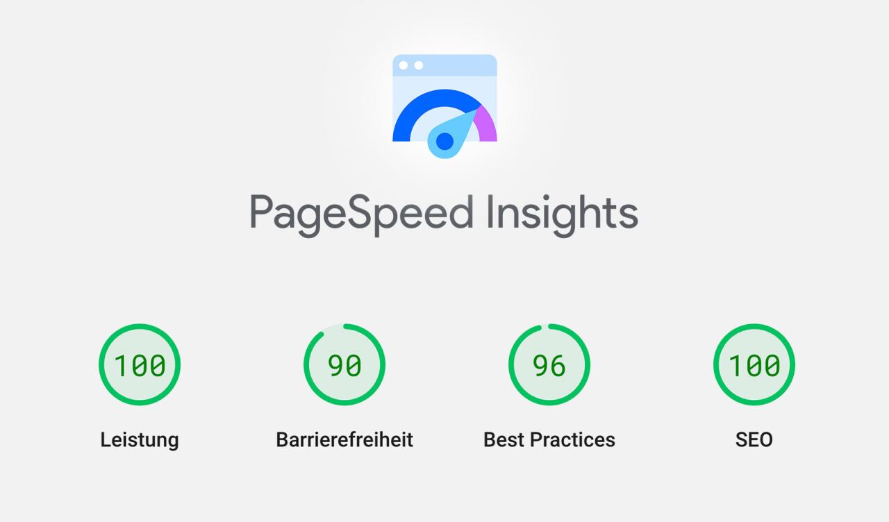 Darstellung einer Google PageSpeed Insights Auswertung