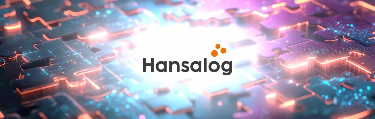 Hansalog Schnittstelle – API-Anbindung durch Homepage Helden.