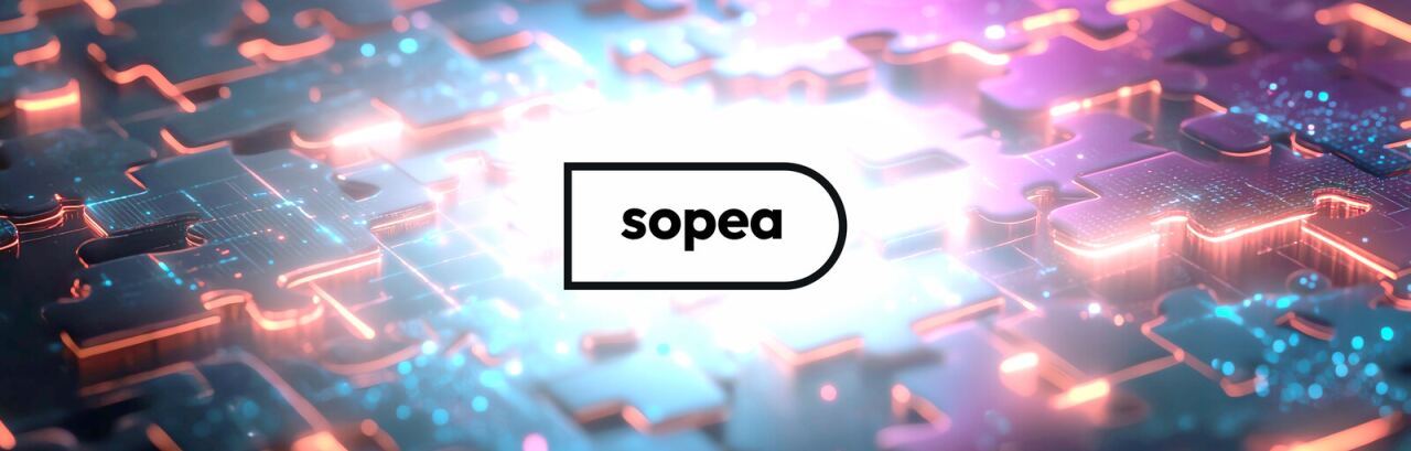 sopea Schnittstelle – API-Anbindung durch Homepage Helden.